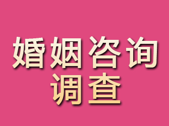 信宜婚姻咨询调查